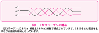 the-osteogenesis-imperfecta-1