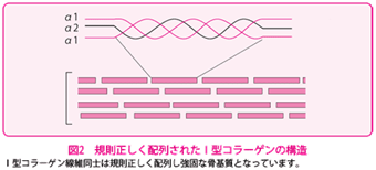the-osteogenesis-imperfecta-2